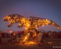 AFRIKABURN2016_GitaClaassen-181