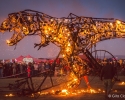 AFRIKABURN2016_GitaClaassen-182