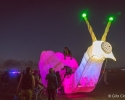 AFRIKABURN2016_GitaClaassen-195