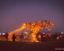 AFRIKABURN2016_GitaClaassen-200