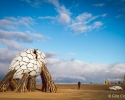 AFRIKABURN2016_GitaClaassen-90