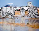 AfrikaBurn 2012 Mirage. Images © Jonx Pillemer