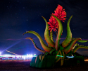 AfrikaBurn 2012 Mirage. Images © Jonx Pillemer