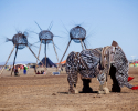 AfrikaBurn 2013 Archetypes