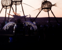 AfrikaBurn 2013 Archetypes