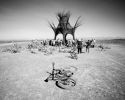 AfrikaBurn 2013 Archetypes