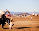 AfrikaBurn 2013 Archetypes